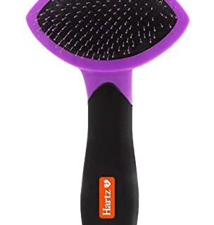 HARTZ, Groomer's Best Small Slicker Brush for Cats and Small Dogs, Black/Violet, 1 Count