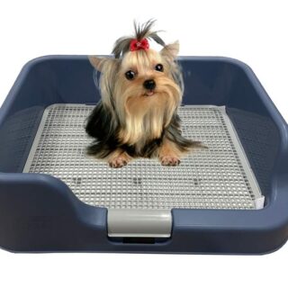Indoor Dog Potty Tray – with Protection Wall Every Side for No Leak, Spill, Accident