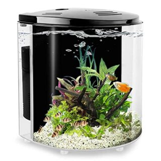 1.2 Gallon Betta Aquarium Starter Kits Fish Tank with LED Light and Filter Pump Black