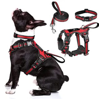 Pet Harness Collar and Leash Set, All-in-one Reflective Dog Harness No Pull with Adjustable Buckles for Dogs