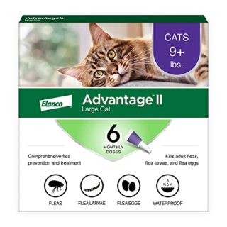 Advantage II Large Cat Vet-Recommended Flea Treatment & Prevention | Cats Over 9 lbs.