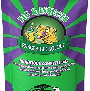 Pangea Fruit Mix Fig & Insects Crested Gecko Complete Diet (1 lb)