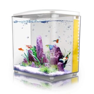 1.2Gallon Betta Aquarium Starter Kits Square Fish Tank with LED Light and Filter Pump