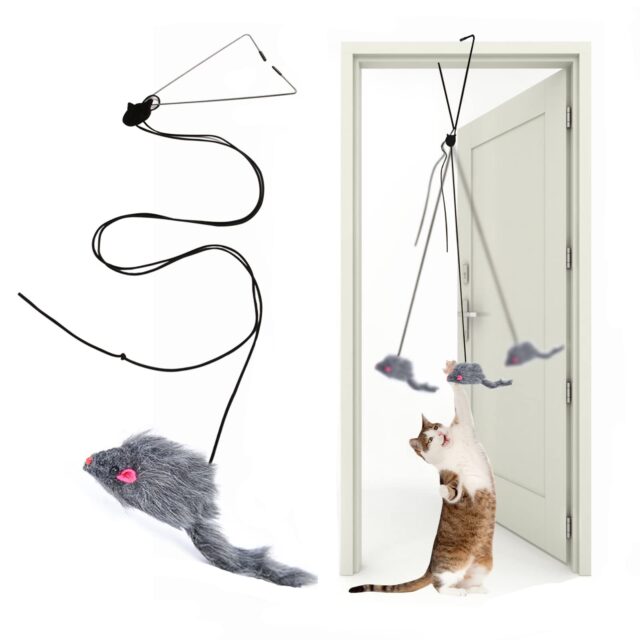 Interactive Cat Feather Toys,Retractable Teaser Toy ，Hanging Interactive Toys for Indoor Cats Kitten Play Chase Exercise