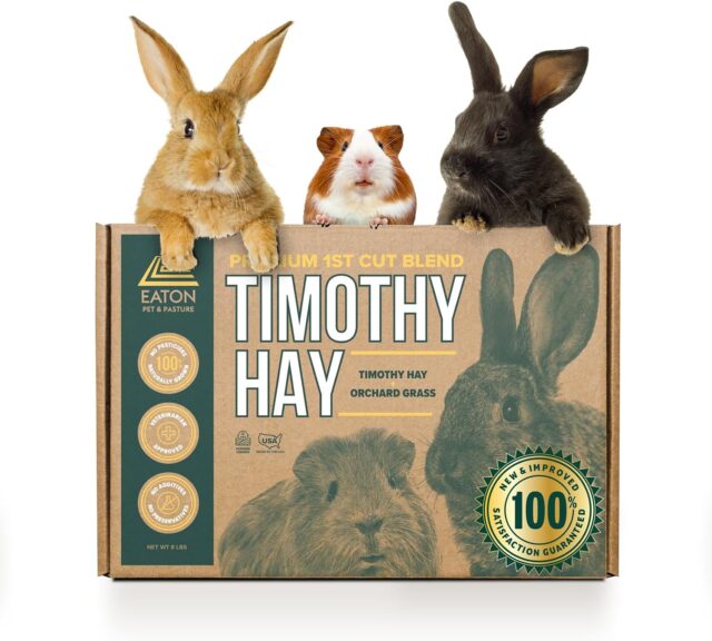 Eaton Pet and Pasture Naturally Grown, Premium, 1st Cut Blend, Western Timothy Hay Orchard Blend, Small Animal Food, 6LB-Box.