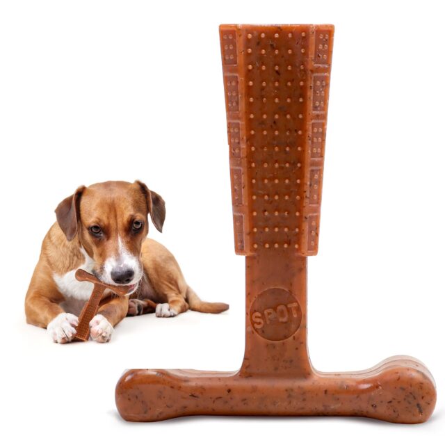 SPOT by Ethical Products - Bambone Plus – Easy Grip Durable Dog Chew Toy for Aggressive Chewers Puppies and Dogs