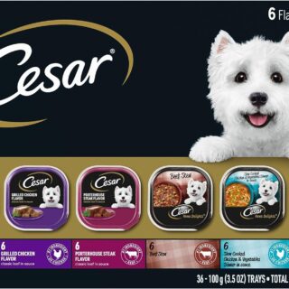 CESAR HOME DELIGHTS Adult Wet Dog Food 3.5 oz. Pack of 36