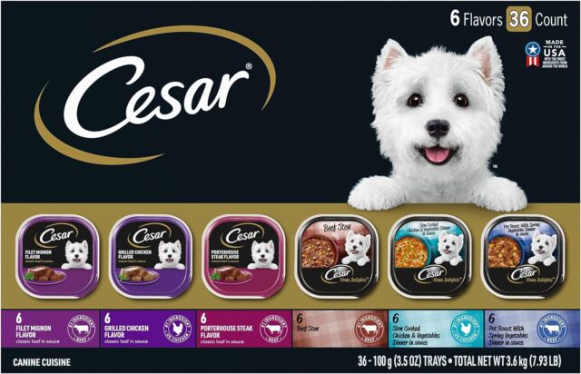 CESAR HOME DELIGHTS Adult Wet Dog Food 3.5 oz. Pack of 36