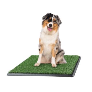 Artificial Grass Puppy Pee Pad for Dogs and Small Pets - 20x25 Reusable 3-Layer Training Potty Pad with Tray