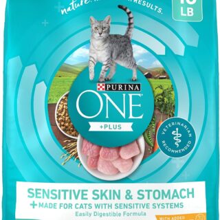 Purina ONE Sensitive Stomach, Sensitive Skin, Natural Dry Cat Food, +Plus Sensitive Skin and Stomach Formula