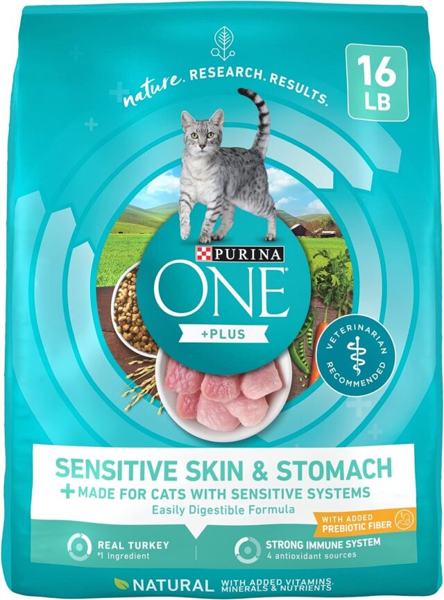 Purina ONE Sensitive Stomach, Sensitive Skin, Natural Dry Cat Food, +Plus Sensitive Skin and Stomach Formula
