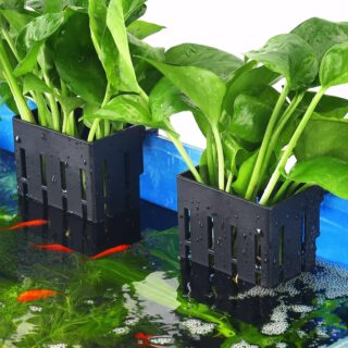 Upgraded Aquarium Plant Holder with Hooks and Suction Cups for Fish Tank