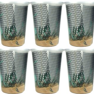 Josh's Frogs Hornworms Habitat Cup (25x6 Count Cup)