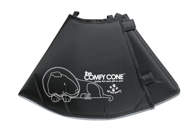 All Four Paws Comfy Cone Pet Cone for Dogs, Cats, Large, Black - Comfortable Soft Dog Cone Collar Alternative for After Surgery