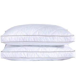 puredown® Goose Feathers and Down Pillow for Sleeping Gusseted Bed Hotel Collection Pillows, Standard, Set of 2