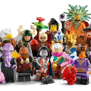 LEGO 71047 Dungeons & Dragons Collectible Minifigures - Complete Set of 12 Characters (No Duplicates)